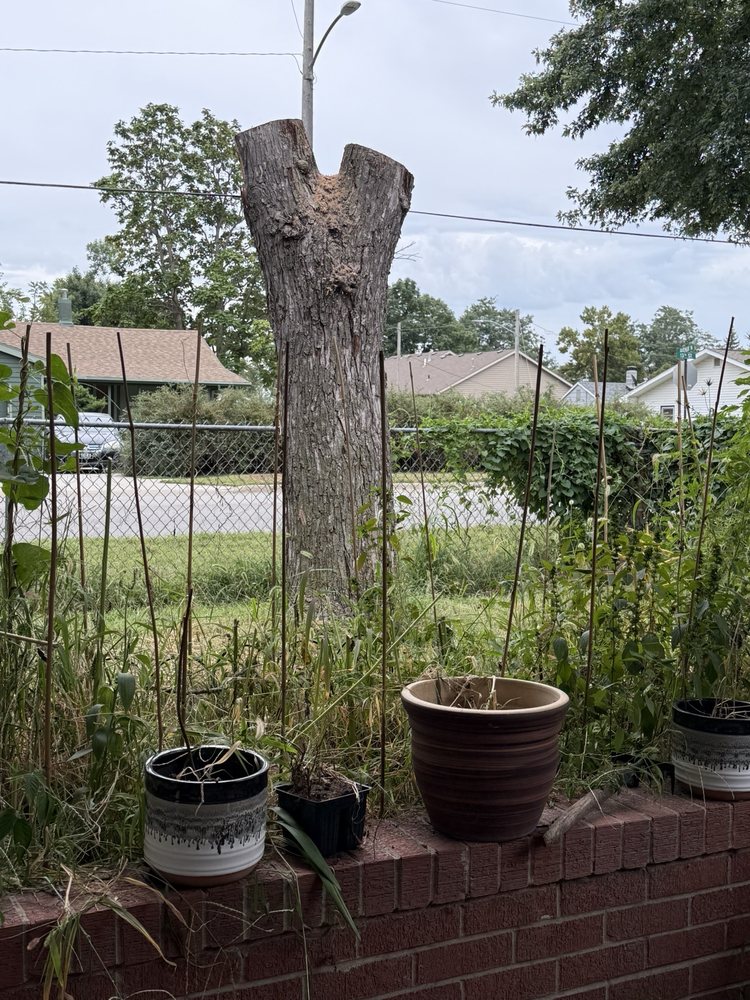 Two Brother Tree Service - tree service in Omaha, NE