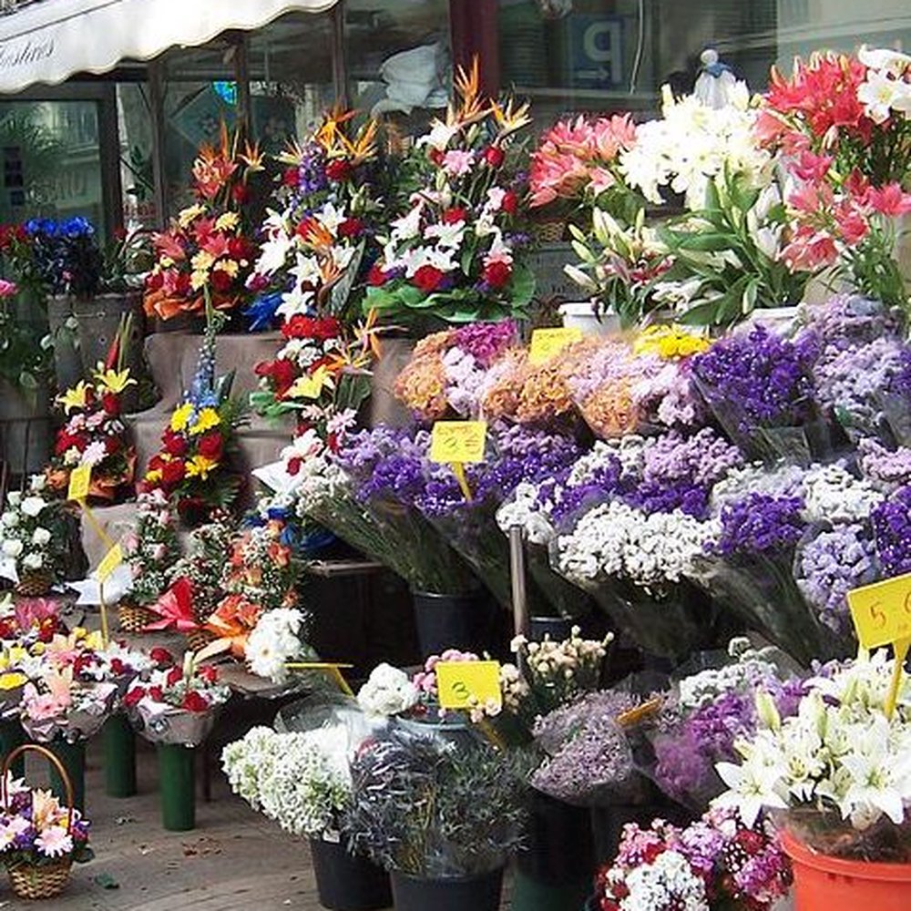 La Rambla - Flower stands - Spanish Near Me - Barcelona, B