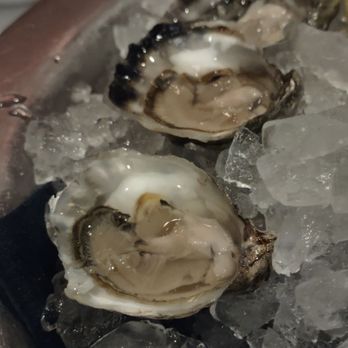 Atlantic Fish - Seafood Near Me - Boston, Massachusetts Atlantic Fish - Seafood Near Me - Boston, Massachusetts