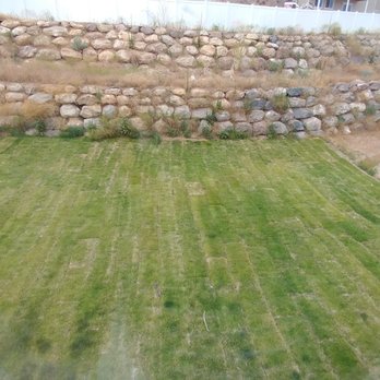 Phillips Turf Farm - Notice sod is running wrong way on slop. Parallel as opposed to perpendicular. - Nurseries & Gardening Near Me - Sandy, Utah