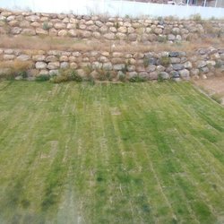 Phillips Turf Farm - Notice sod is running wrong way on slop. Parallel as opposed to perpendicular.