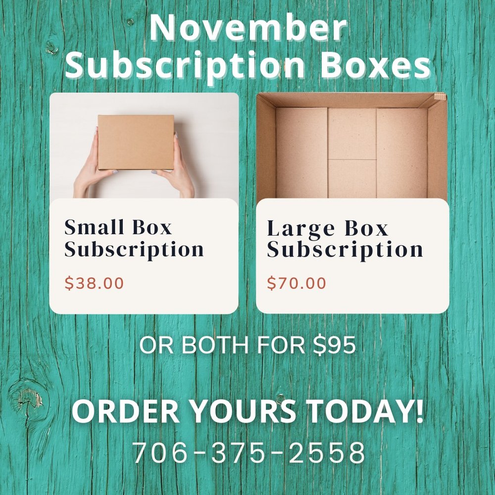 RED BARN DESIGNS Updated September 2024 18 Photos 117 Gordon St