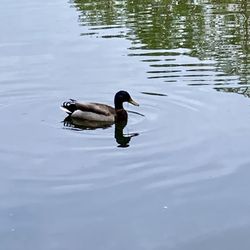 05/18/24