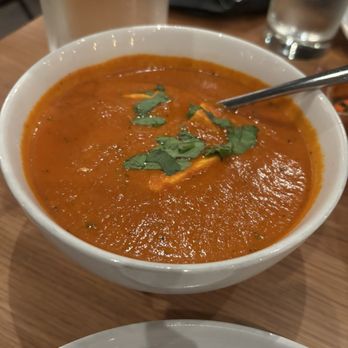 Basant Modern Indian - Paneer Malai Cilantro - Indian Near Me - Chicago, Illinois