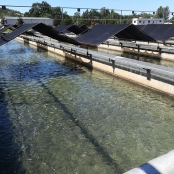 Coleman National Fish Hatchery - Salmon pools. - Landmarks & Historical Buildings Near Me - Anderson, California Coleman National Fish Hatchery - Salmon pools. - Landmarks & Historical Buildings Near Me - Anderson, California