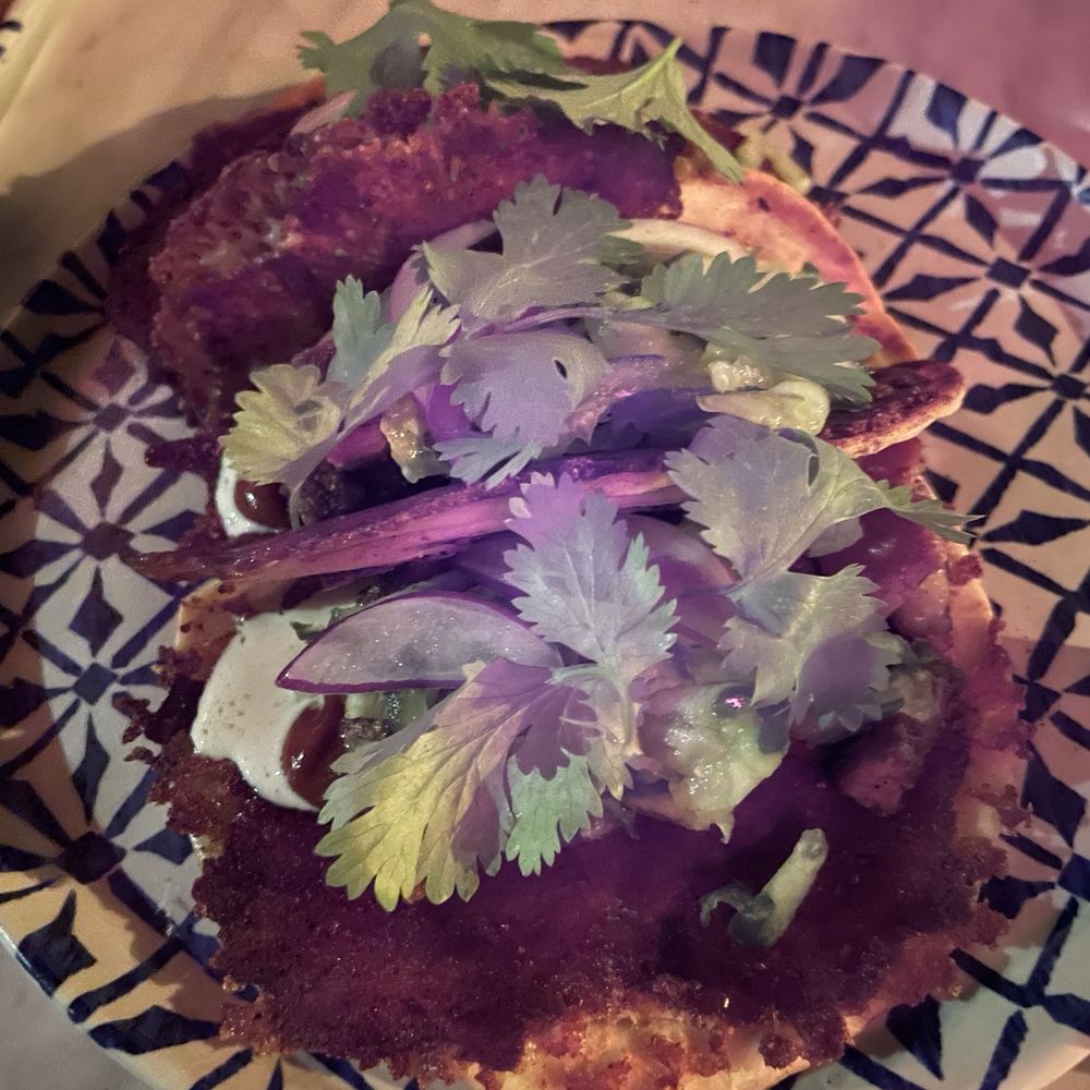 Mirra - Taco Arabe - Mexican Near Me - Chicago, Illinois Mirra - Taco Arabe - Mexican Near Me - Chicago, Illinois