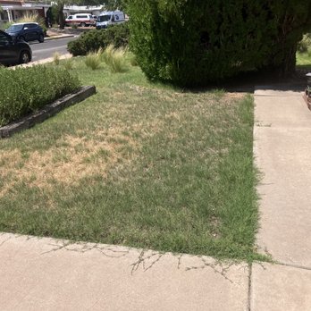 Wise Home Improvements - Before picture of landscape - Landscaping Near Me