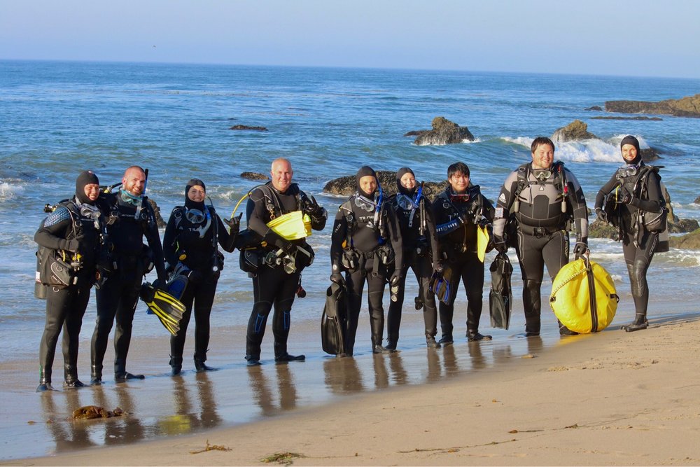 Social spots from SCDiving