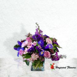 Hayward Flowers - Cube # 4