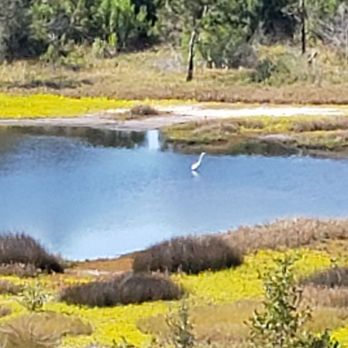 Robinson Preserve - Parks Near Me - Bradenton, Florida