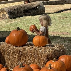 Summers Past Farms - Got the right one Oct 16, 2025