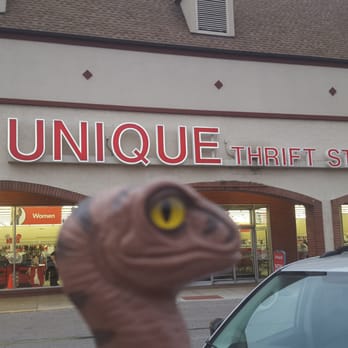 Savers - Bob the Raptor Says "There is all kinds of fun stuff here." - Thrift Stores Near Me - Willowick, Ohio
