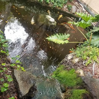 Orange Hill Restaurant & Events - Lovely Pond - Steakhouses Near Me - Orange, California