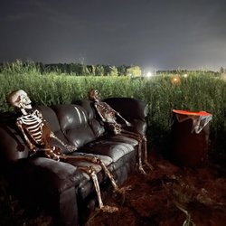 Peanut Patch and Cornmaze
