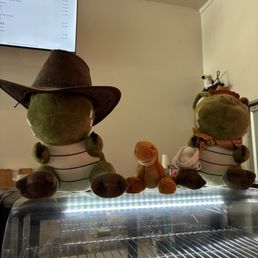 dinosaurs dinosaurs