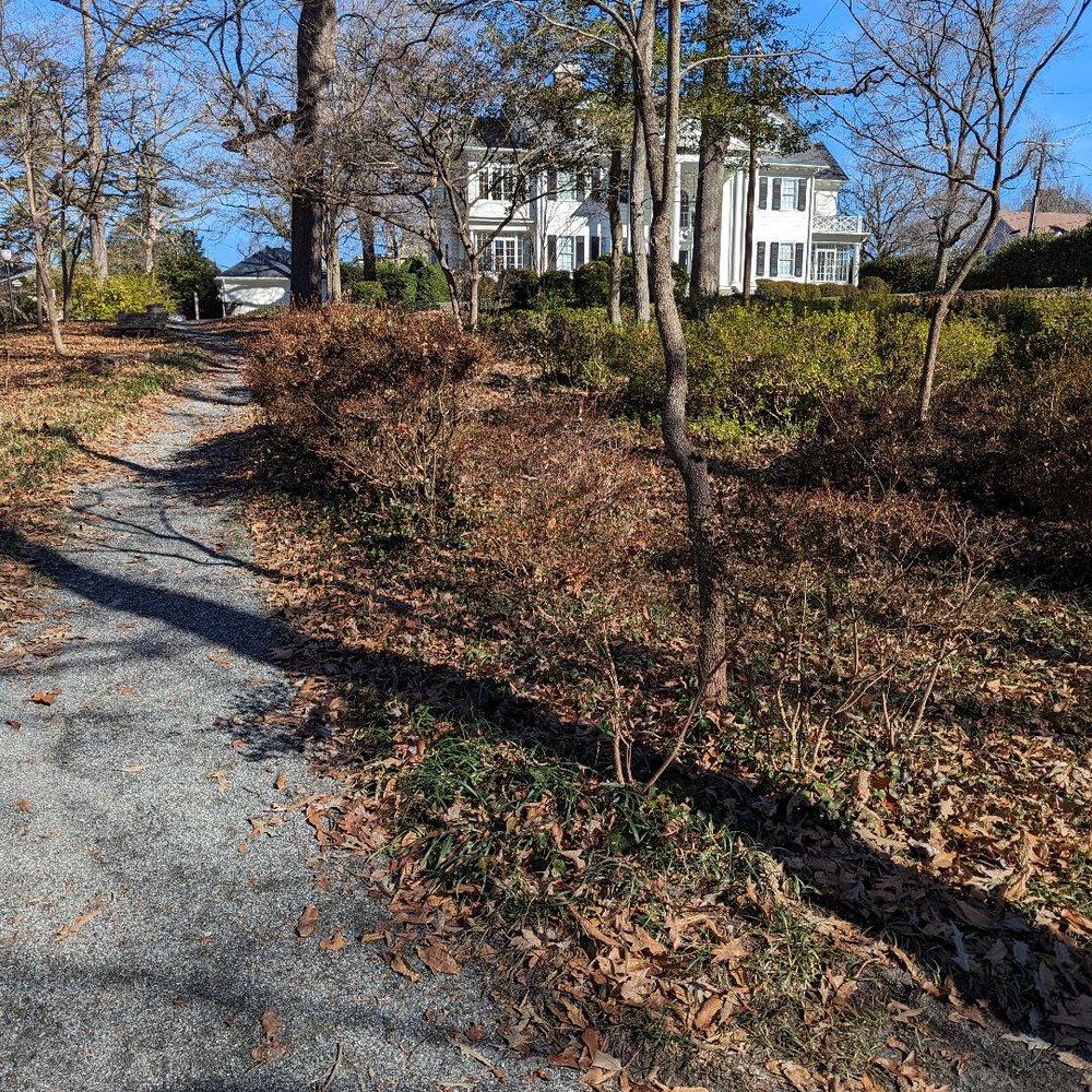 Fisher Park - That's my house in my next life or after someone leaves me a few million! - Parks Near Me - Greensboro, North Carolina Fisher Park - That's my house in my next life or after someone leaves me a few million! - Parks Near Me - Greensboro, North Carolina