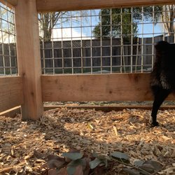 Chanticleer Dog Park - Fence doesn't go all the way down.