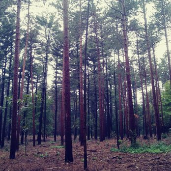 Kettle Moraine State Forest - Parks Near Me - Eagle, Wisconsin