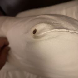 Red Roof Inn Clearfield - Bed Mites!