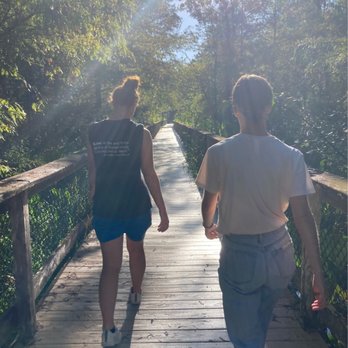 CREW - Bird Rookery Swamp - Walking trail - Parks Near Me - Naples, Florida