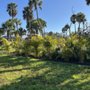 Photo of SAMA Landscaping & Lawn Service