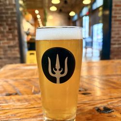 Wayfinder Beer - Midnight Eyes