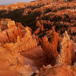 Outta Here eBikes - Going at sunset the sun hits this Canyon and wow