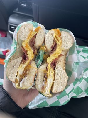 Holy Bagels CO. by null