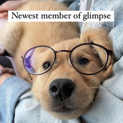 Glimpse Eye Care - Glimpse Eye Care's mascot, Rosie. Here to get you the best glasses :)