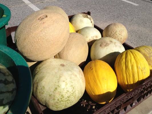 Govans Farmers' Market by null