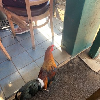 Kihei Caffe - Hawaiian Near Me - Kihei, Hawaii Kihei Caffe - Hawaiian Near Me - Kihei, Hawaii