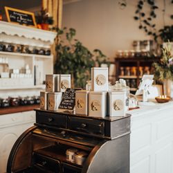 Moon Medicine Therapeutics