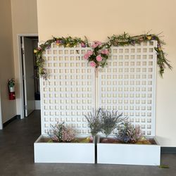 Pino’s Elixir Cafe