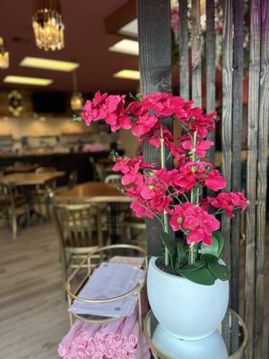 Brunch Bliss & Bubbles by null