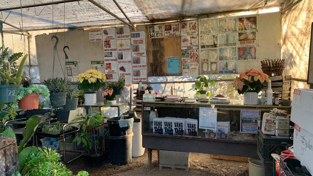 MIMOSA NURSERY Updated September 2024 63 Photos & 82 Reviews 6270 Allston St, Los Angeles