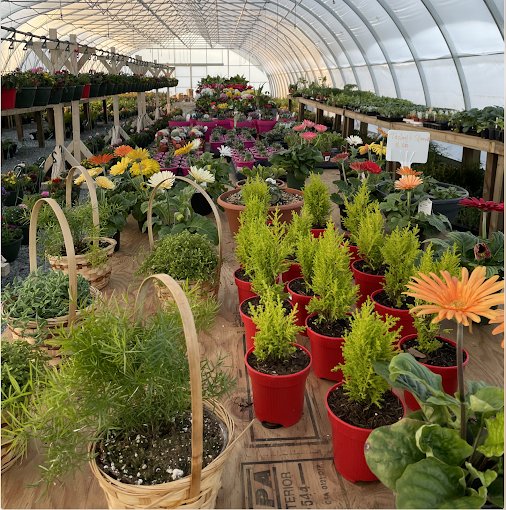 ACME FARMS & NURSERIES Updated August 2024 16 Photos 10641 Ladner Trunk Road, Delta