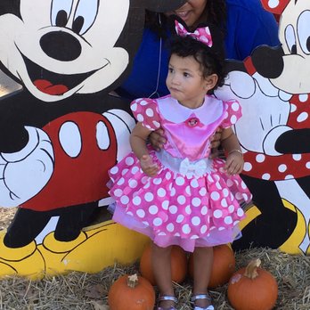 The Flower Mound Pumpkin Patch - She was being super nosey. - Pumpkin Patches Near Me - Flower Mound, Texas
