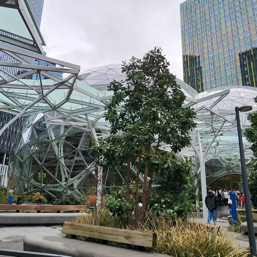 Amazon Spheres - Botanical Gardens Near Me - Seattle, Washington Amazon Spheres - Botanical Gardens Near Me - Seattle, Washington