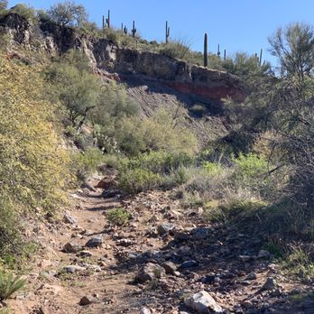 Spur Cross Ranch Conservation Area - Parks Near Me - Cave Creek, Arizona
