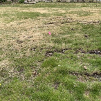 Wever Tree Service - some of the damage to my yard by his machines. Huge ruts on both sides of yard. - Tree Services Near Me - La Porte, Indiana Wever Tree Service - some of the damage to my yard by his machines. Huge ruts on both sides of yard. - Tree Services Near Me - La Porte, Indiana