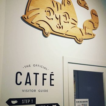 Catfe - Cafes Near Me - Vancouver, British Columbia Catfe - Cafes Near Me - Vancouver, British Columbia
