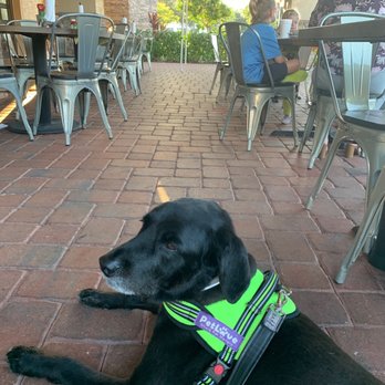 Bone Hook Brewing Company - Dog friendly and $3 during happy hour - Breweries Near Me - Naples, Florida Bone Hook Brewing Company - Dog friendly and $3 during happy hour - Breweries Near Me - Naples, Florida