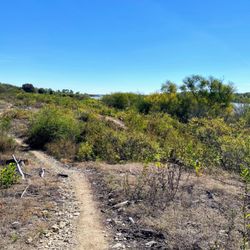 Cross Timbers Trail Head - Hills