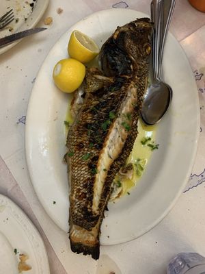 Gregory's 26 Corner Taverna by null