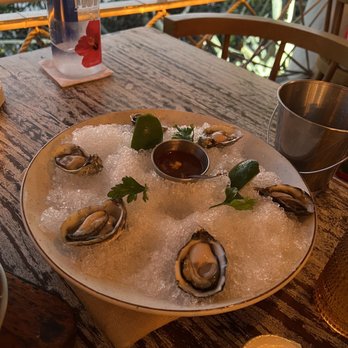 Fred's - Oysters - Mexican Near Me - Cancún, ROO
