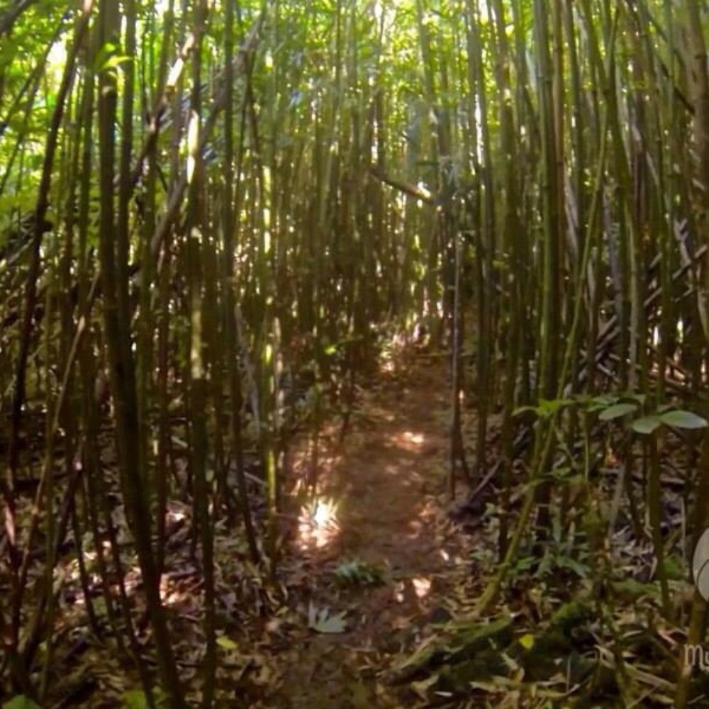 My HILife Tours - Tours Near Me My HILife Tours - Tours Near Me