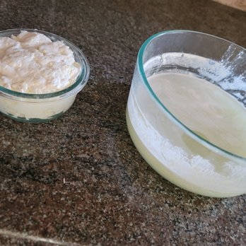 Claravale Farm - I made yogurt with the whole milk, i strained the yogurt into soft cheese...best cheese ive ever had, so creamy and fresh. - Health Markets Near Me - Paicines, California
