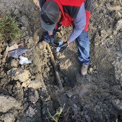 Walston Plumbing Mechanical & Septic Tank Cleaning