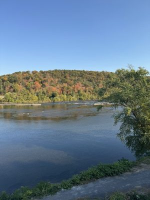 River House at Odette's by null