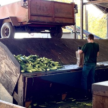 Davis Ranch, LLC - Fresh from the corn fields here - Fruits & Veggies Near Me - Sloughhouse, California Davis Ranch, LLC - Fresh from the corn fields here - Fruits & Veggies Near Me - Sloughhouse, California
